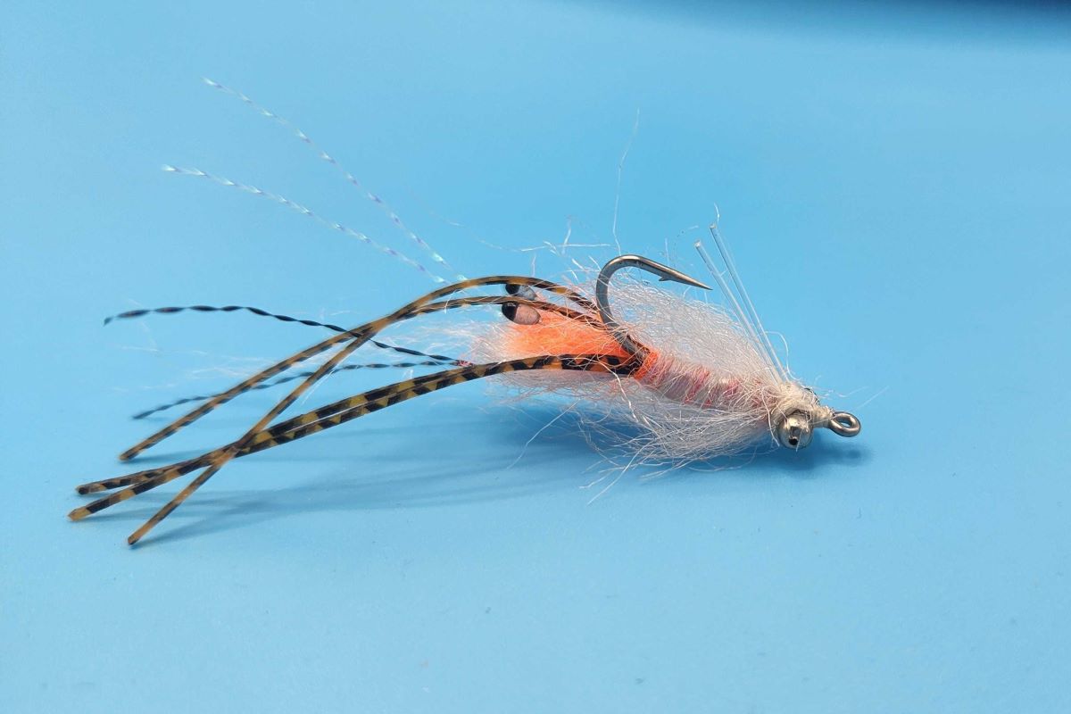 Spawning Shrimp – Shallow