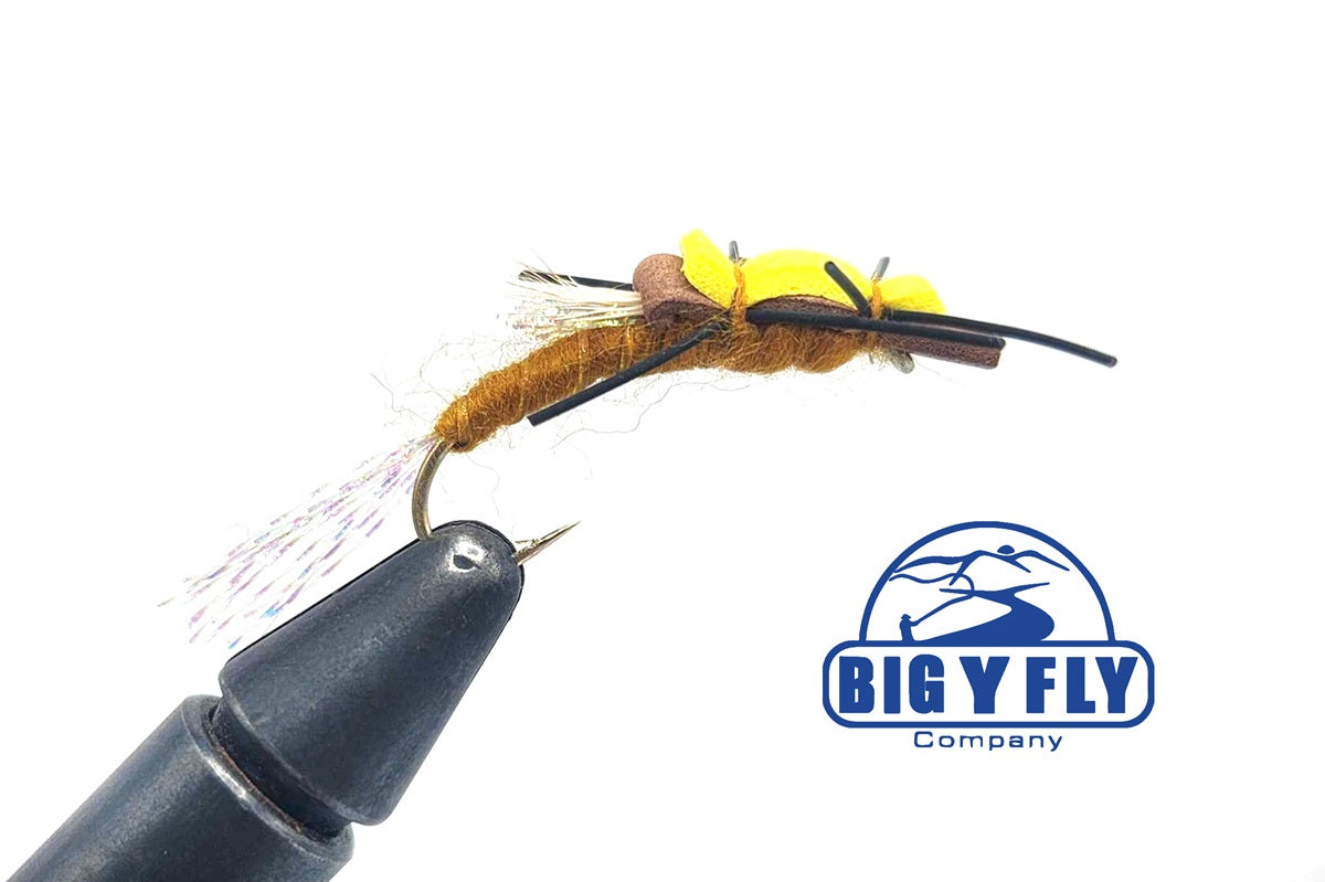 Floating Stonefly