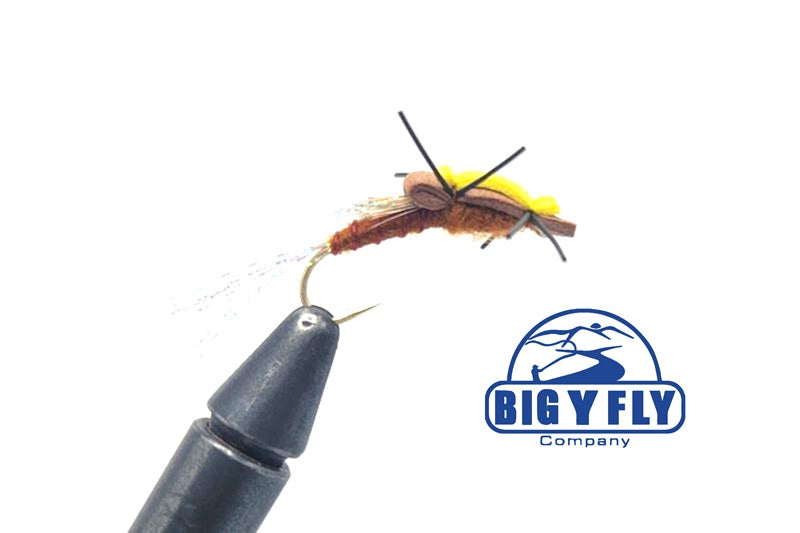 Floating Stonefly