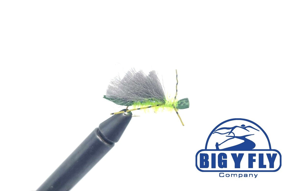 Adult Stillwater Caddis