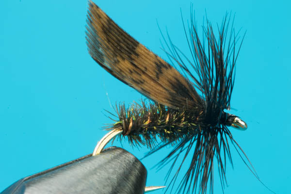 Alder Dry Fly