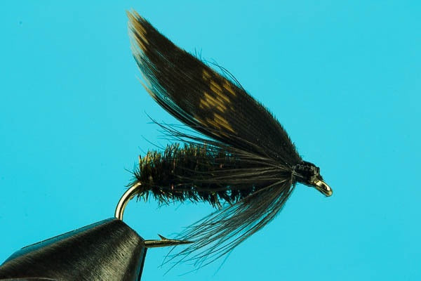 Alder Wet Fly