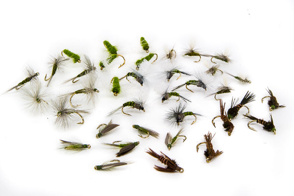 Blue Wing Olive Assortment–36 Flies #6