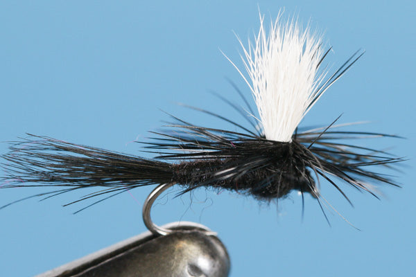 Barbless Parachute Black Gnat