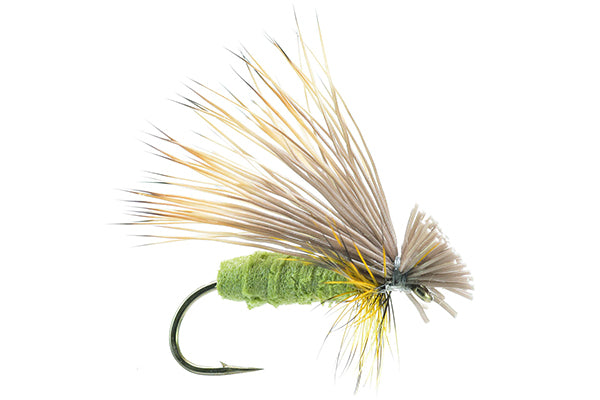 Better Foam Caddis – Umpqua