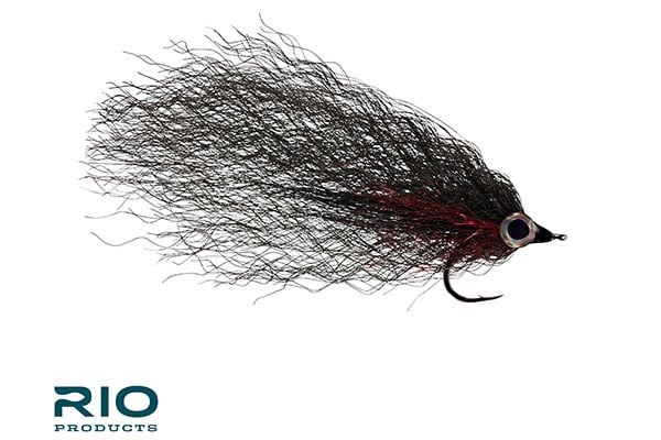 Big Baitfish – RIO