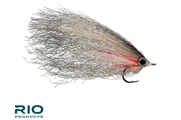 Big Baitfish – RIO