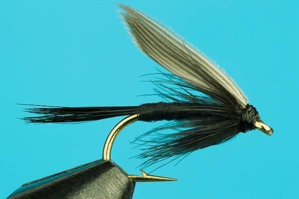 Black Gnat Wet Fly