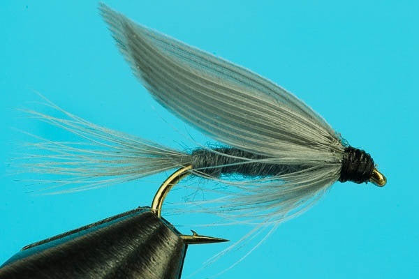 Blue Dun Wet Fly