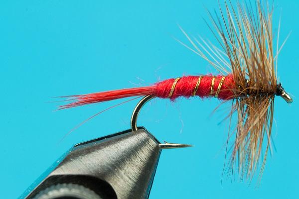 Brown Hackle