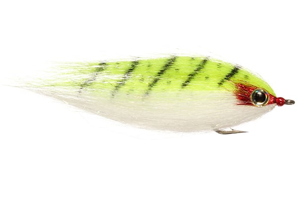 CF Baitfish – Rainy’s