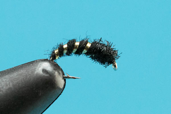 Caddis