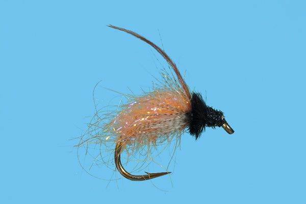 Caddis-October – Solitude