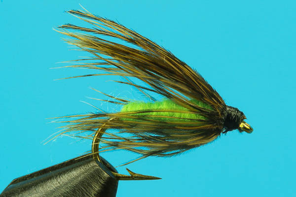 Caddis Pupa