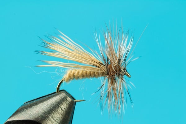 Caddis Variant