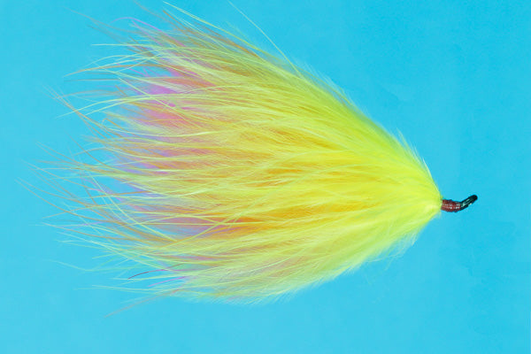 Canary Marabou