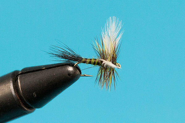 Colorado Green Drake