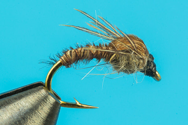 Cove’s Pheasant Tail