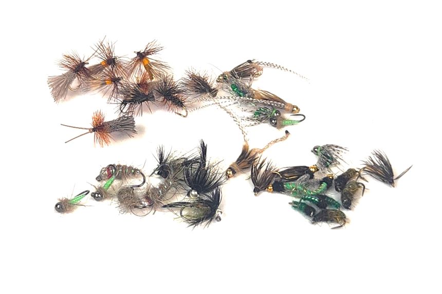 Deschutes Caddis Assortment–36 Flies #10