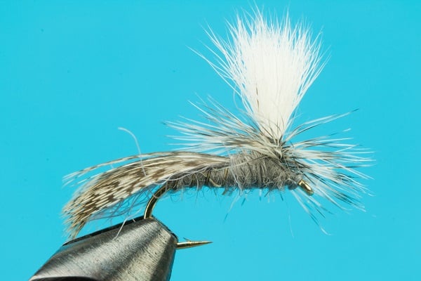 EZ Caddis (Parachute Caddis)