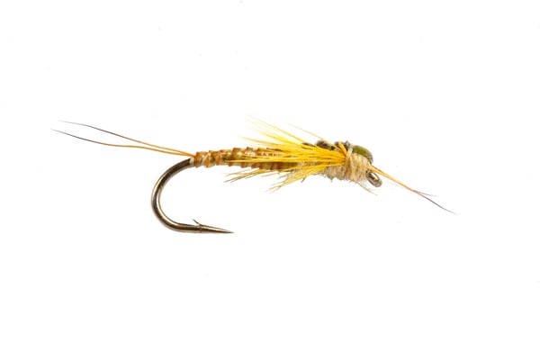 Edward’s Yellow Stonefly – Fulling Mill