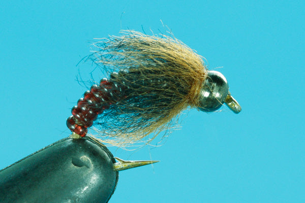 Euro Caddis