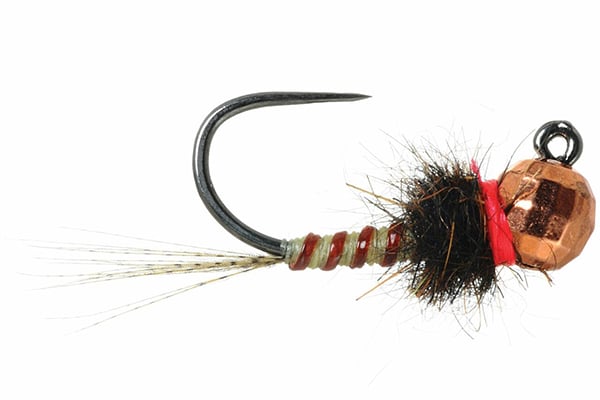 Euro Jig – Umpqua