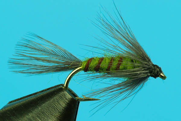 Flymph BWO