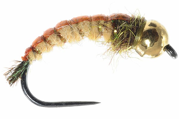 GTI Caddis Egan’s – Umpqua