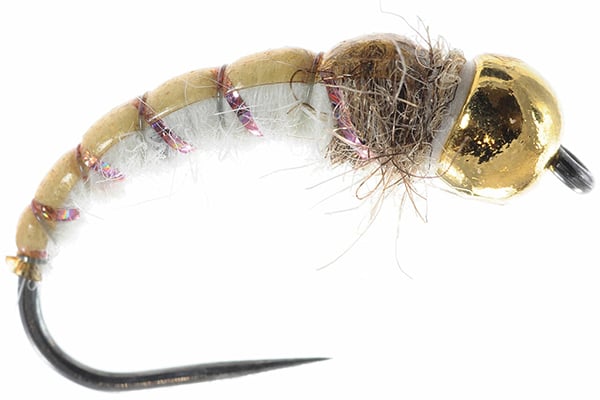 GTI Caddis Egan’s – Umpqua