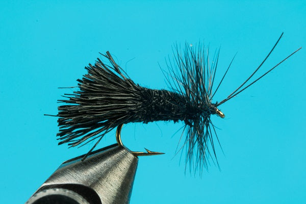 Goddard Caddis