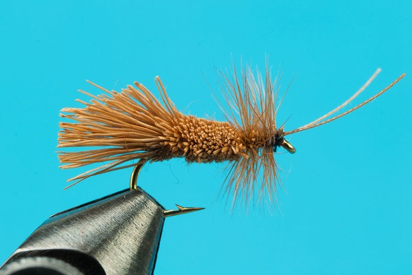 Goddard Caddis