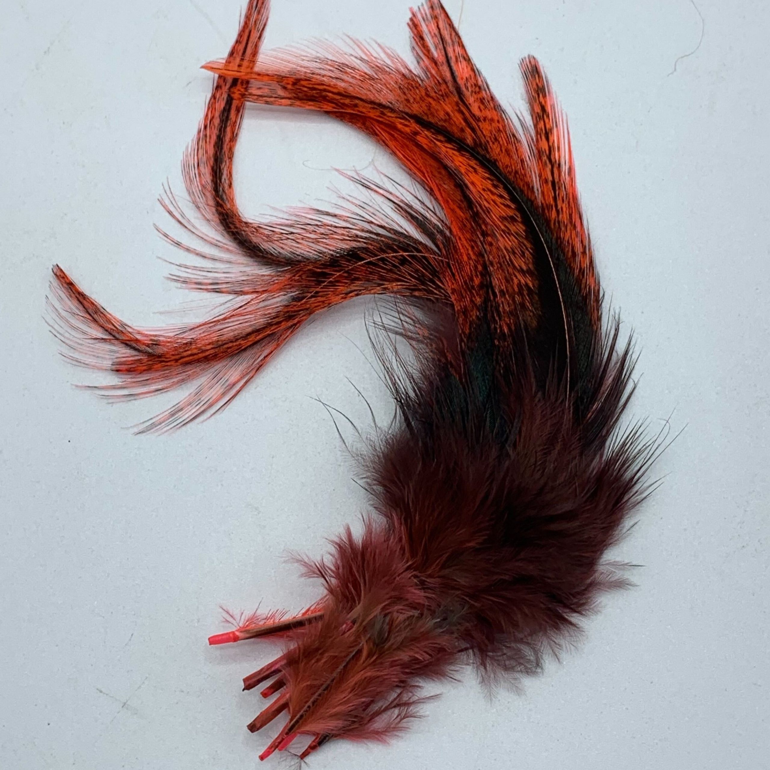 Coq De Leon UV2 Perdigon Fire Tail Feathers–Hareline