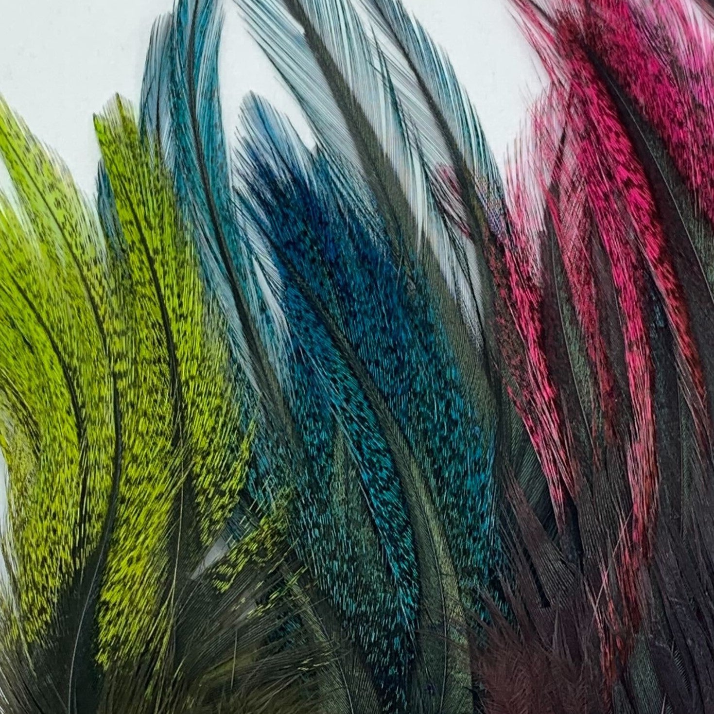 Coq De Leon UV2 Perdigon Fire Tail Feathers–Hareline