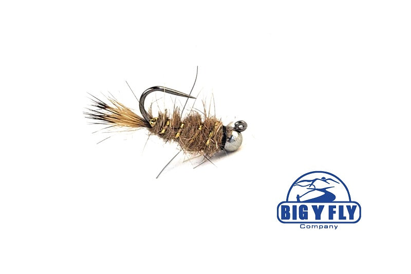 Jigged Fox Halo Squirrel – Tungsten