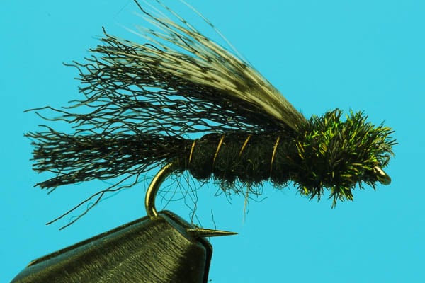 Lawson Caddis Emerger