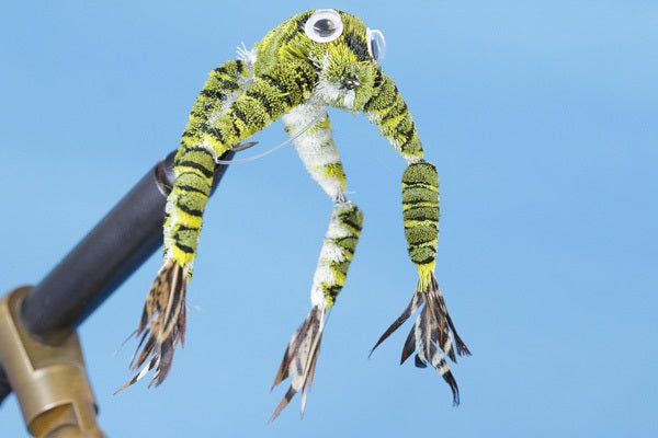 Leopard Frog–Articulating Legs