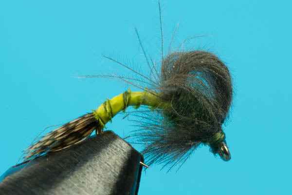 Loop Wing Emerger