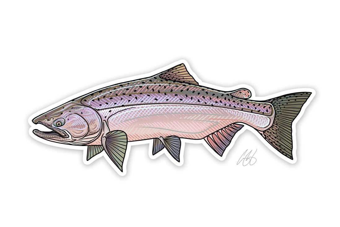 Casey Underwood Artwork – Chinook Salmon Decal