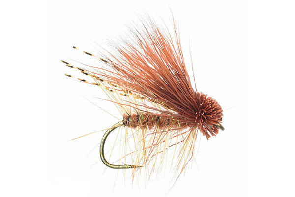 October Caddis Rusty – Umpqua