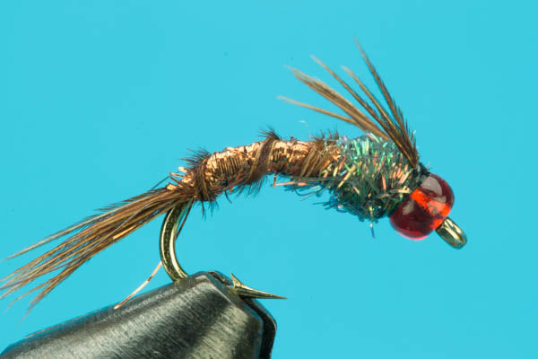 Phlaming Pheasant Tail