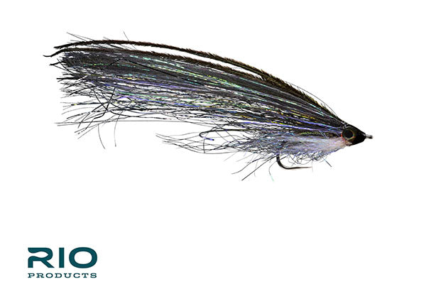 Pipe Eel – RIO