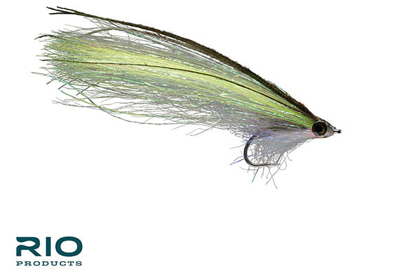 Pipe Eel – RIO