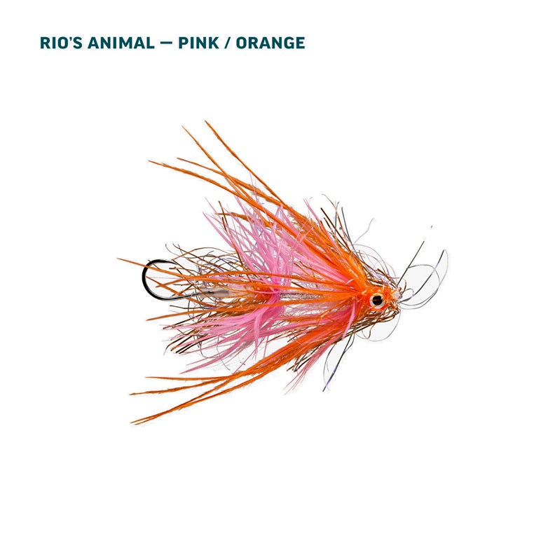 RIO Alaska Salmon Assortment – 10 Flies