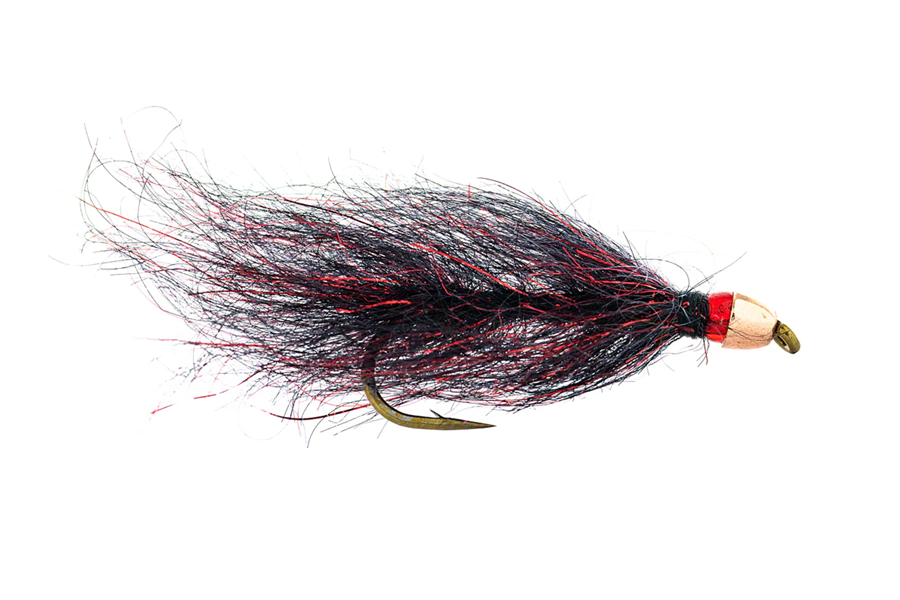 Ruby Eyed Leech – Umpqua