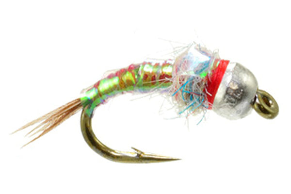 Rainbow Warrior Extra Heavy – – Umpqua