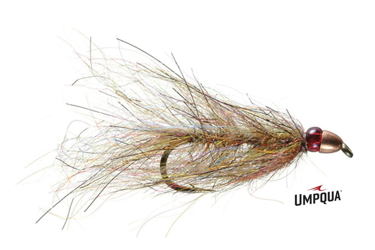 Ruby Eyed Leech – Umpqua