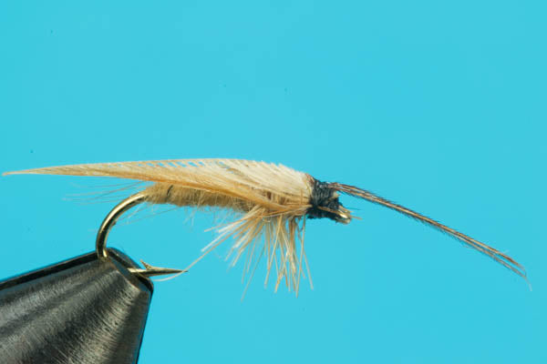 Slow Water Caddis