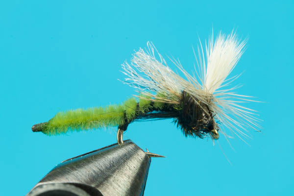 Spotlight Caddis Emerger