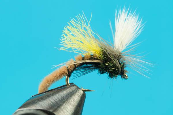 Spotlight Caddis Emerger